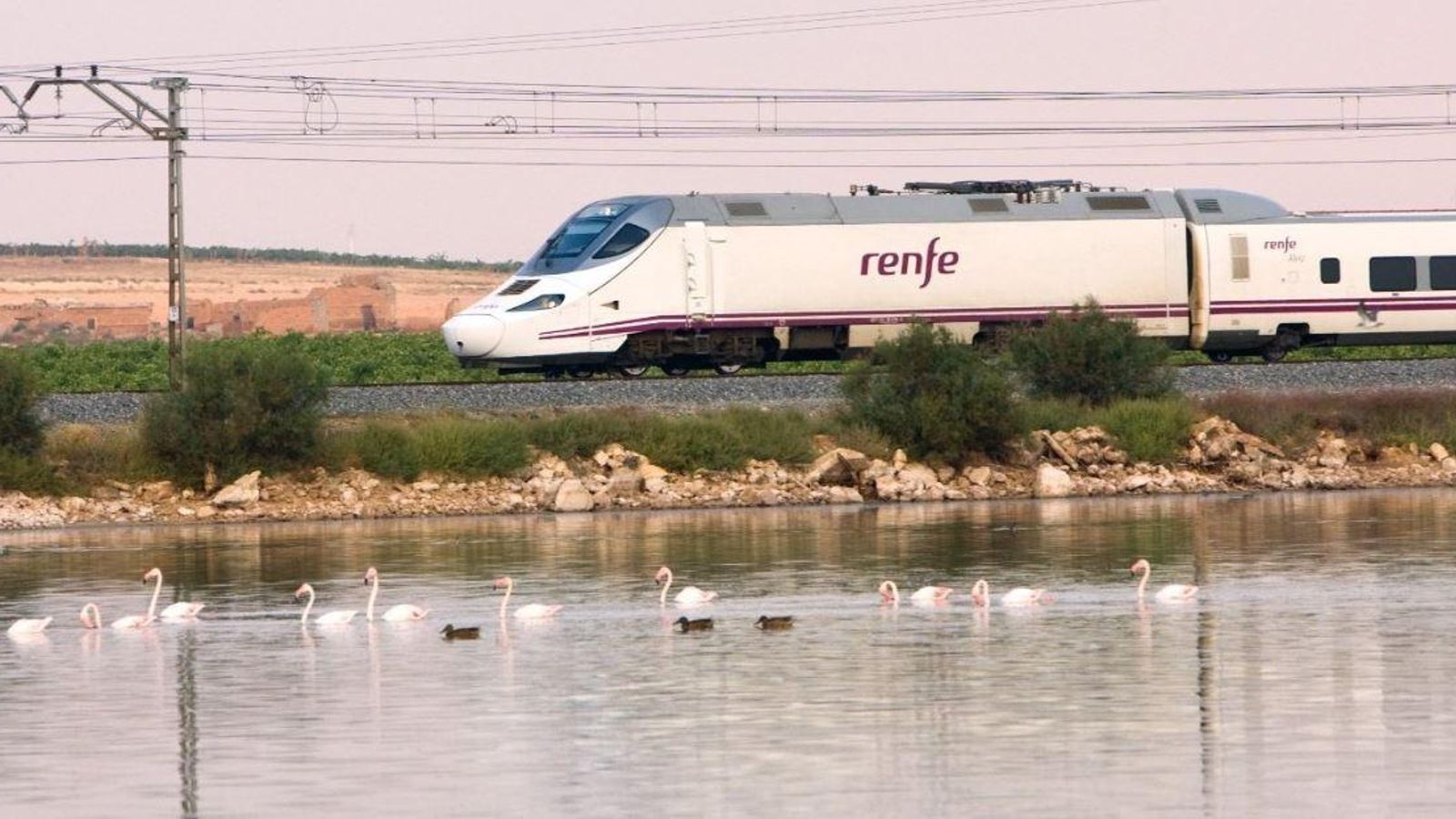 Un tren de Renfe, en arxiu
