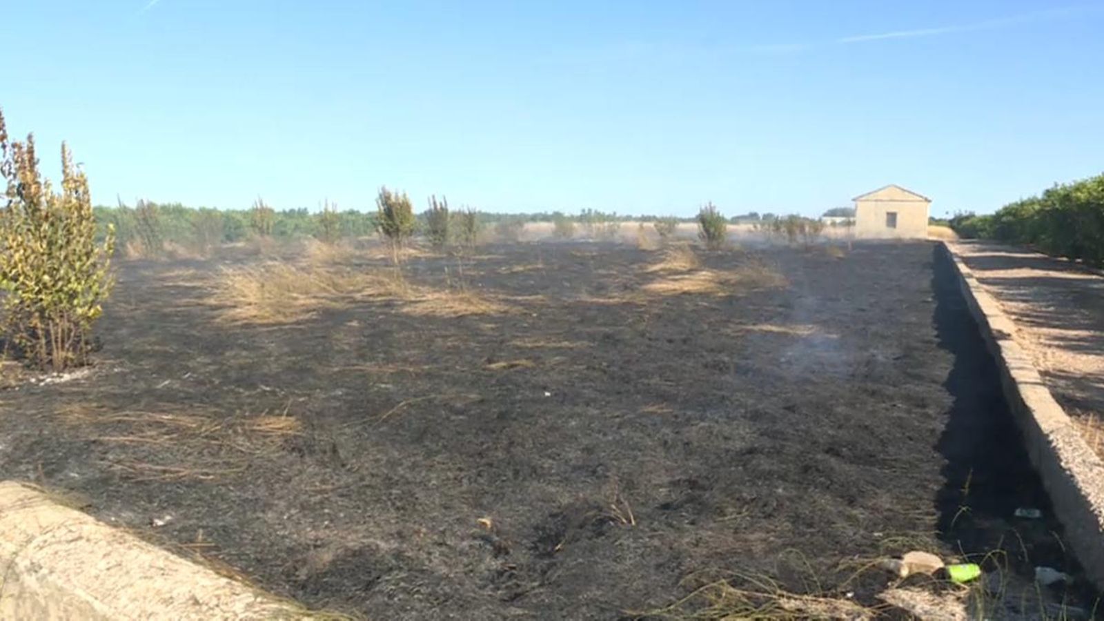 Una de les últimes parcel·les cremades