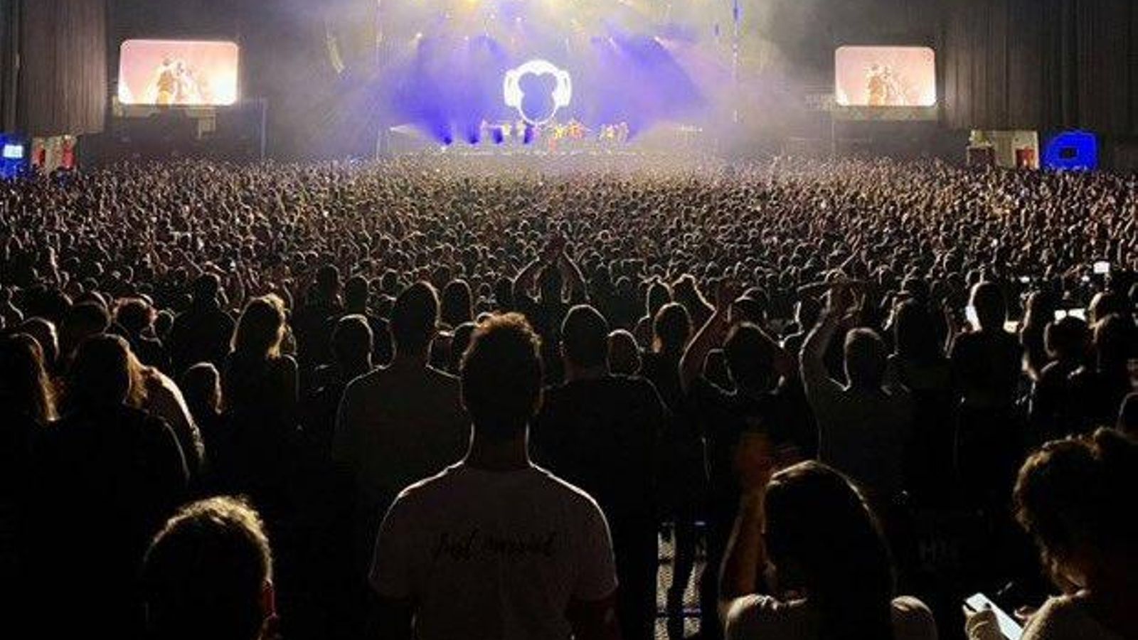 Zoo a un dels seues últims multitudinaris concerts