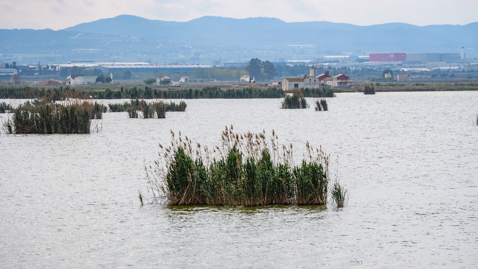 Albufera de València