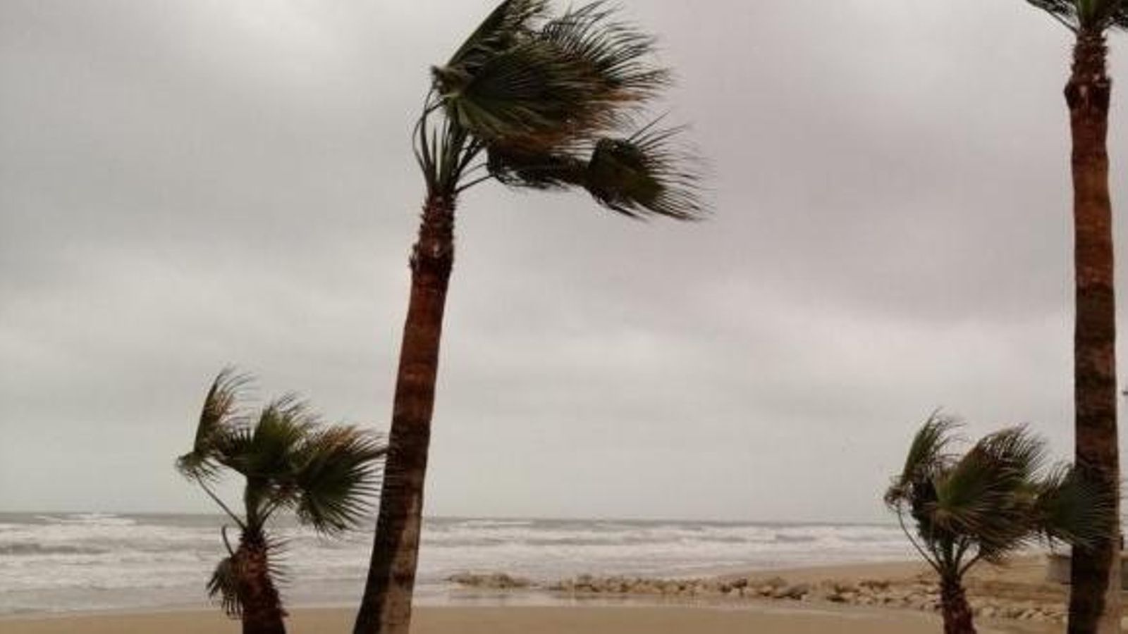 Imatge d'arxiu de temporal de vent
