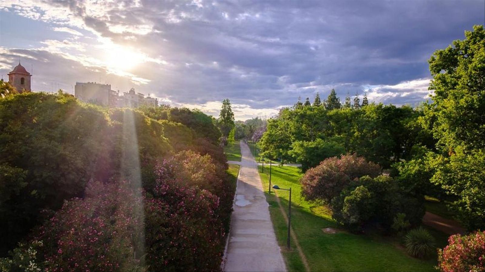 Un tram del jardí del Túria, a València