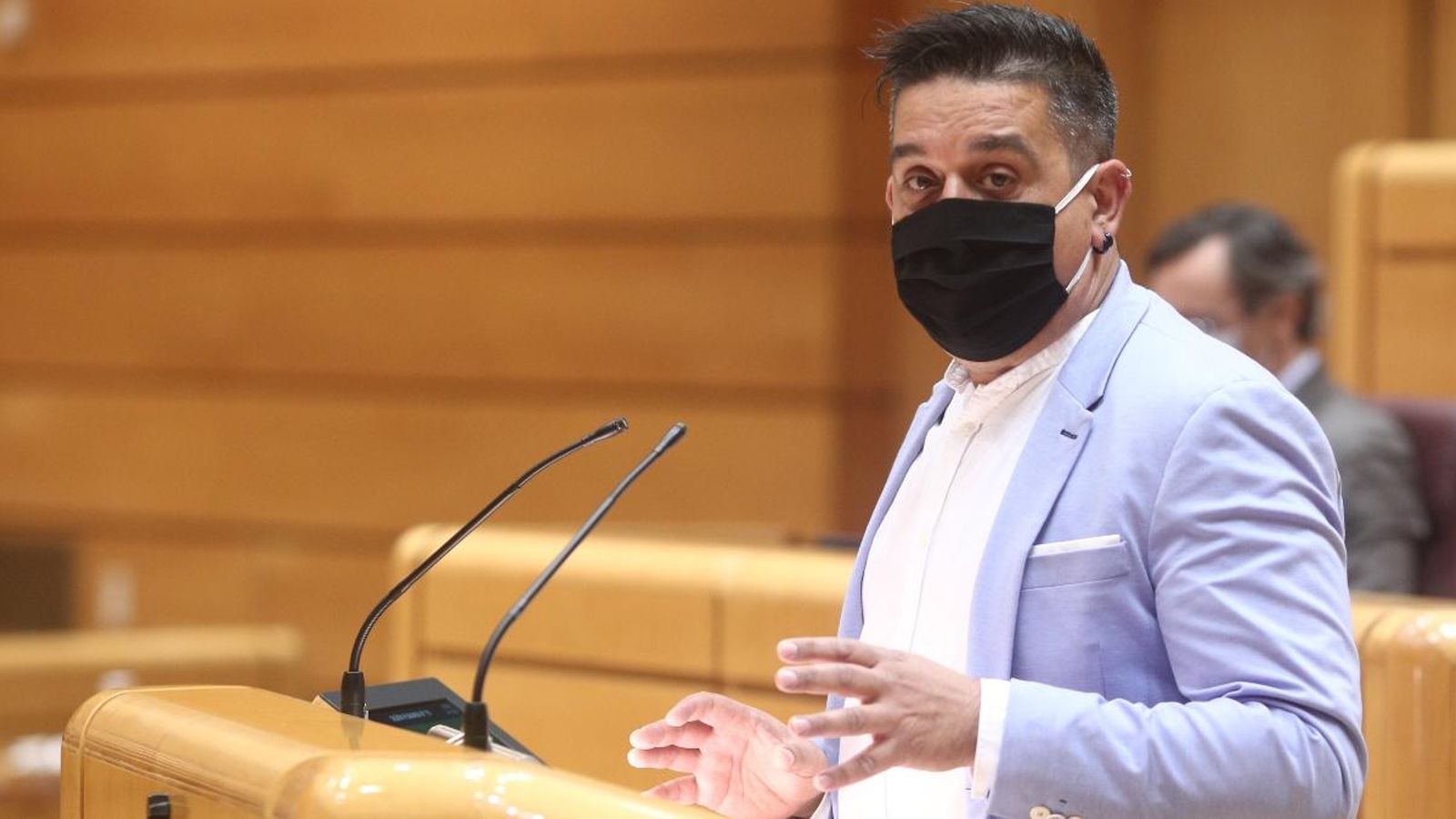 El portaveu de Compromís al Senat, Carles Mulet, durant una sessió plenària