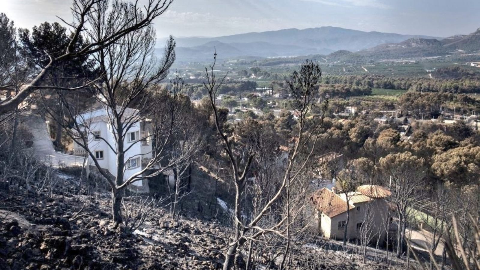 Zona muntanyosa de la Vall d'Albaida, que va quedar arrassada per l'incendi de Llutxent el 2018