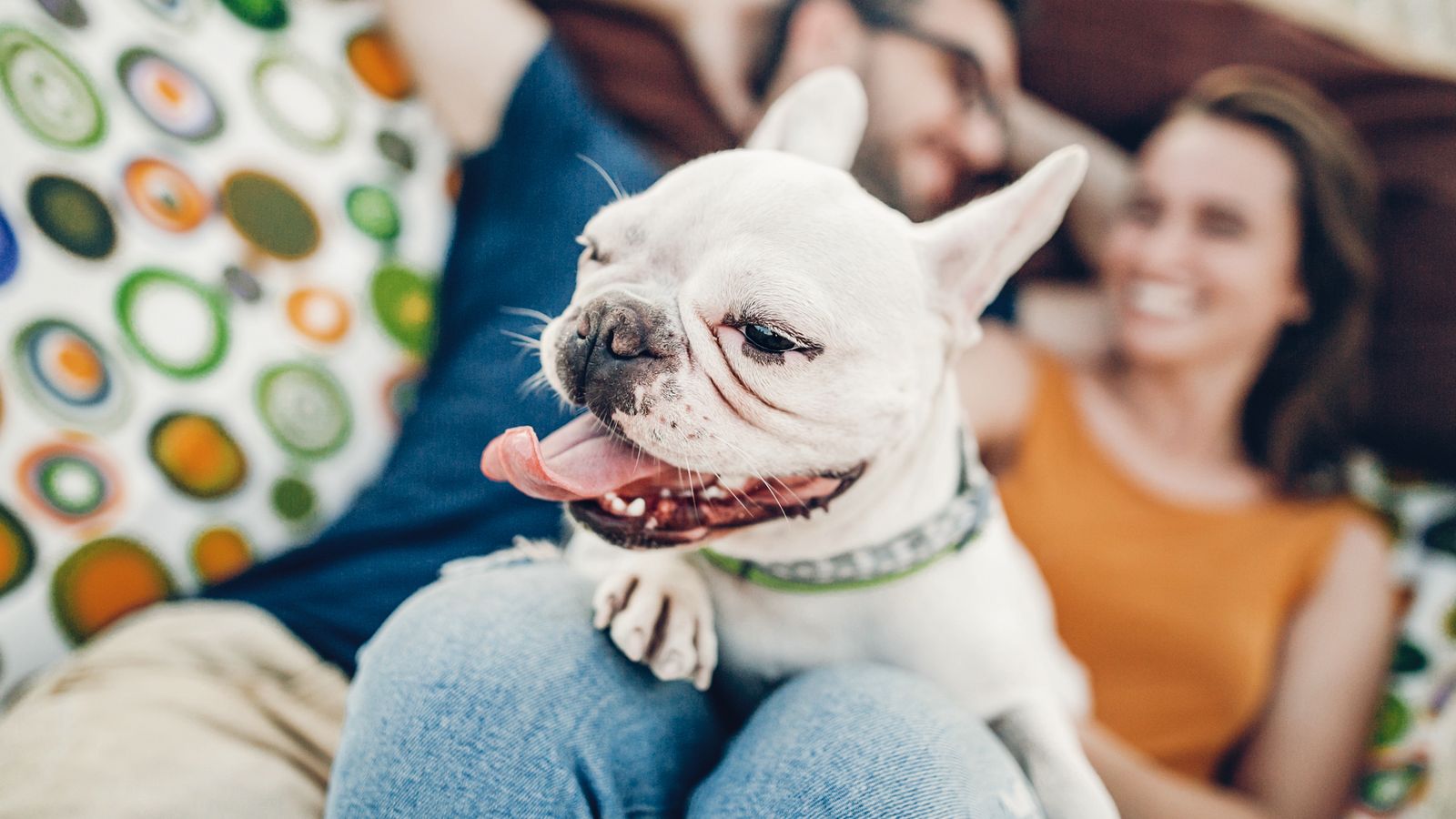 Una parella amb el seu gos