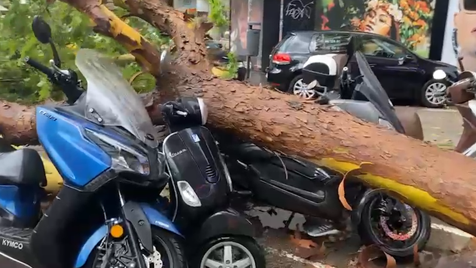 Granissol a València