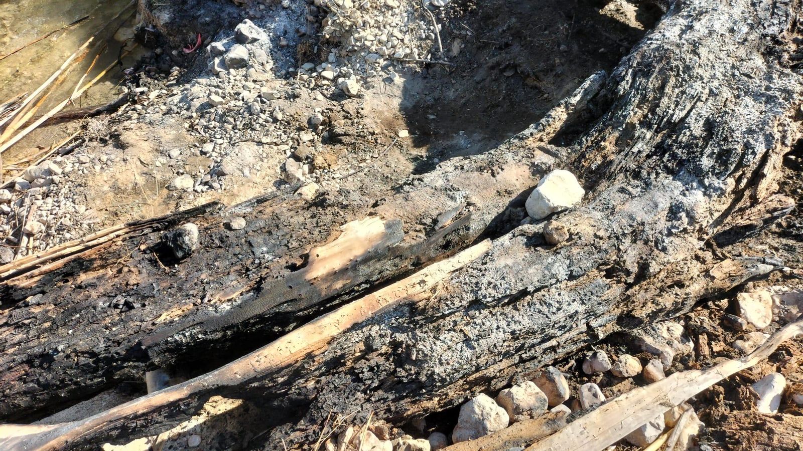 En imatge, les restes de la foguera en què s'han trobat els ossos