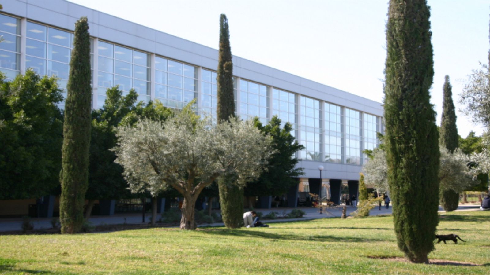 Campus de la Universitat d'Alacant, en una imatge d'arxiu