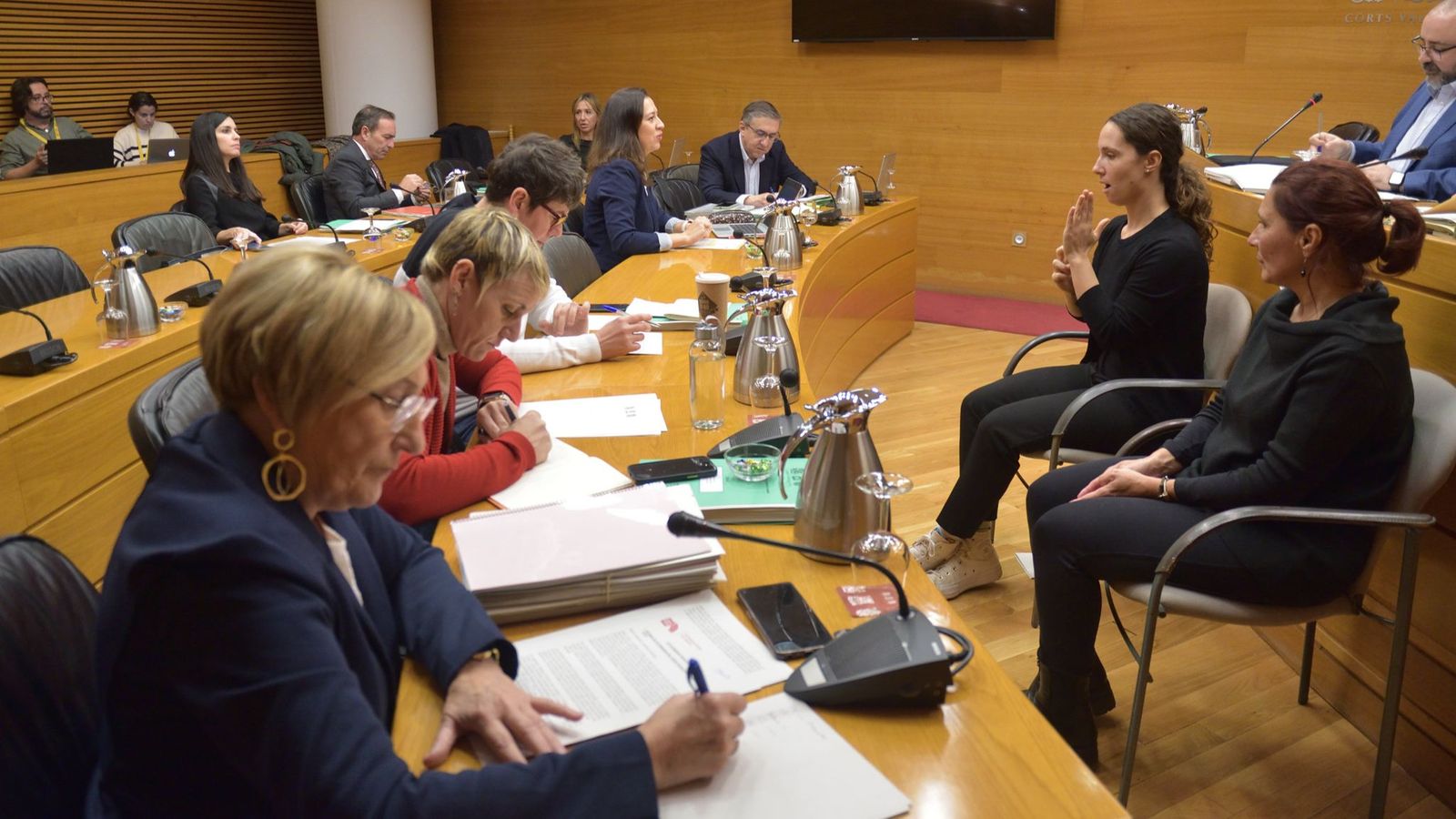 La comissió d'Economia de les Corts