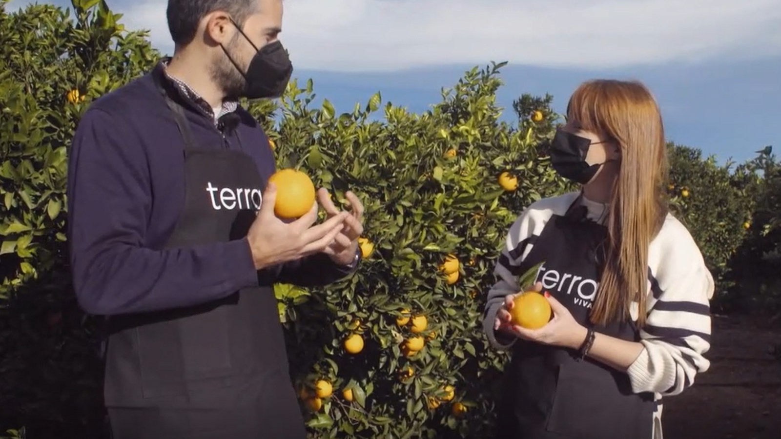 La taronja li para bé a tot