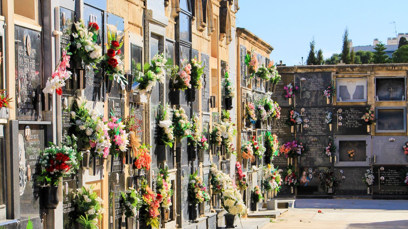 Imatge d'arxiu del cementeri vell d'Elx