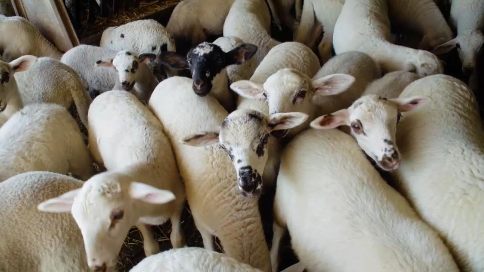 31.08.2023 | Terra Viva