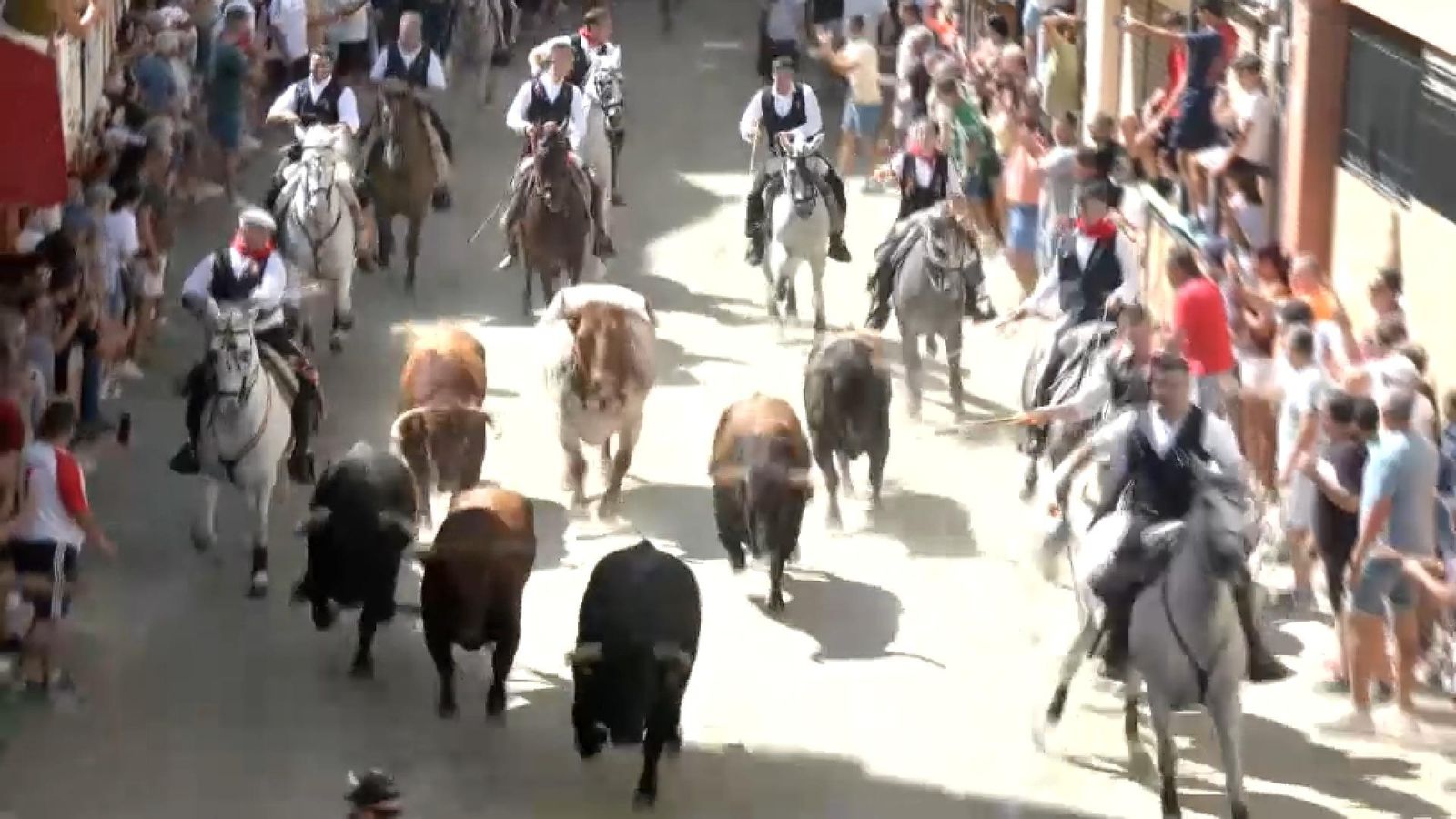 14.09.2025 | Entrada de bous de Segorbe