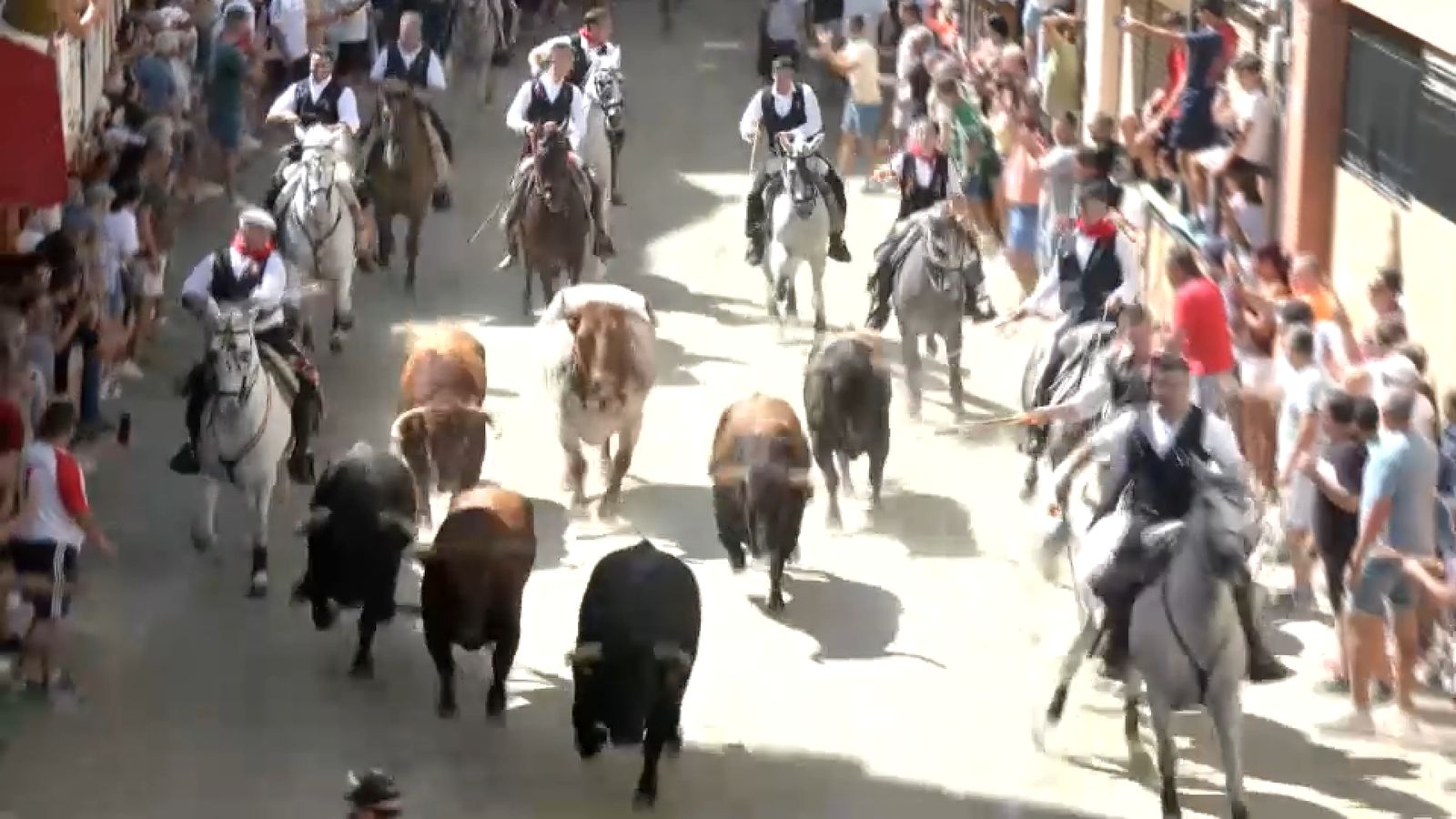 14.09.2025 | Entrada de bous de Segorbe
