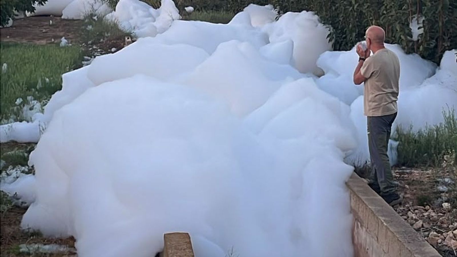 Bromera en una de les sèquies que agafa aigua del riu