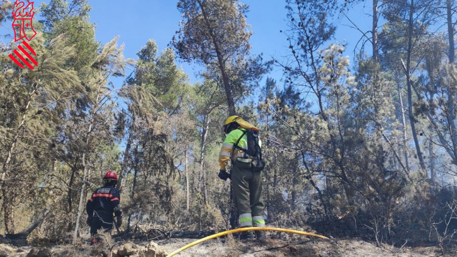 Bombers forestals de la Generalitat treballen en l'extinció de l'incendi aquest diumenge