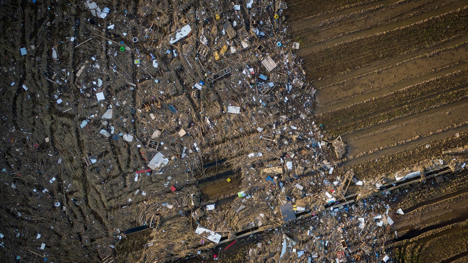 Els residus plàstics inunden l'Albufera