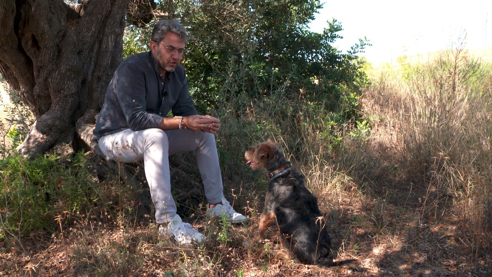 09.10.2022 | Animalades, un món bestial 10