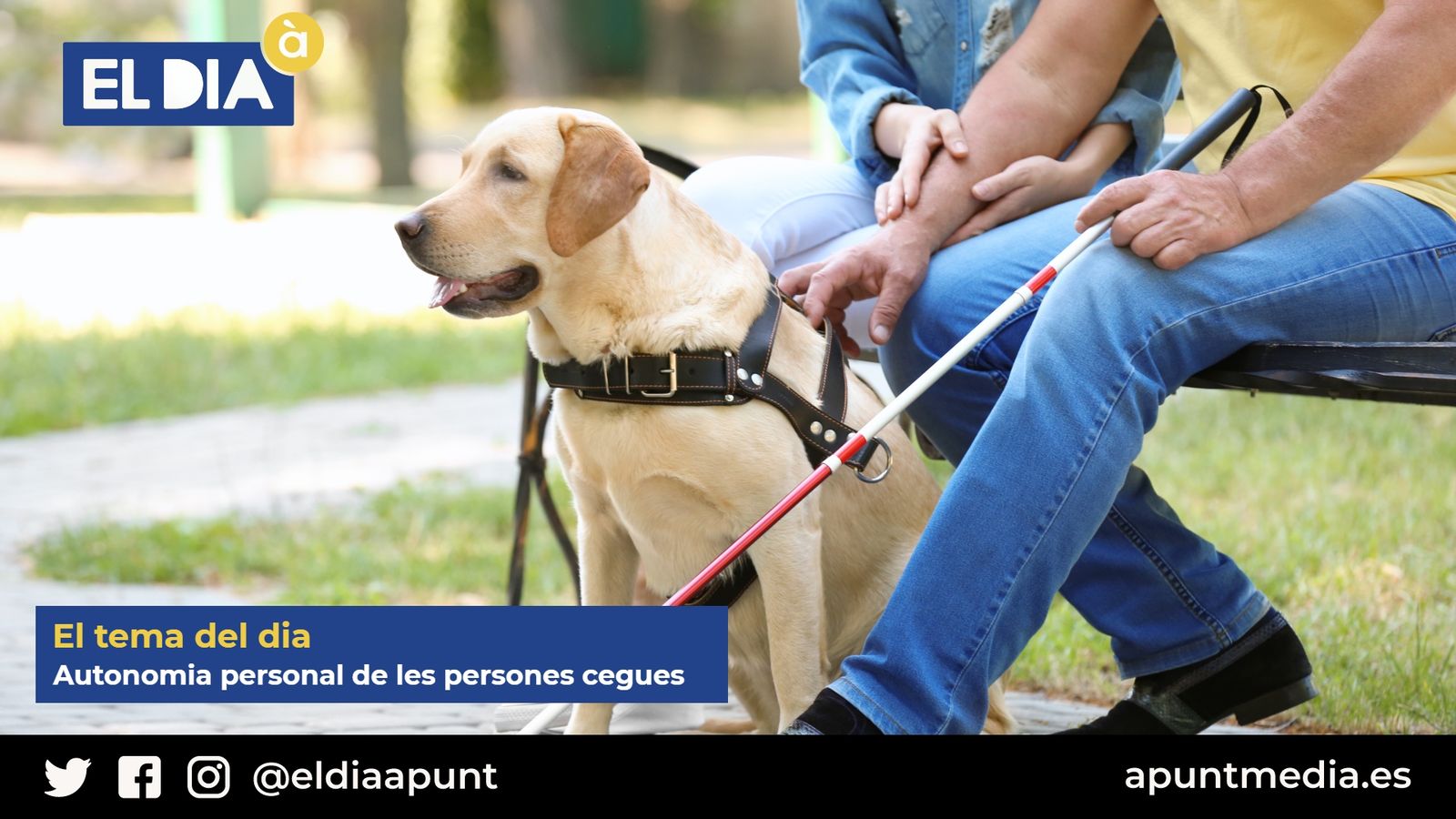 04.03.2021 | L'autonomia personal de les persones cegues