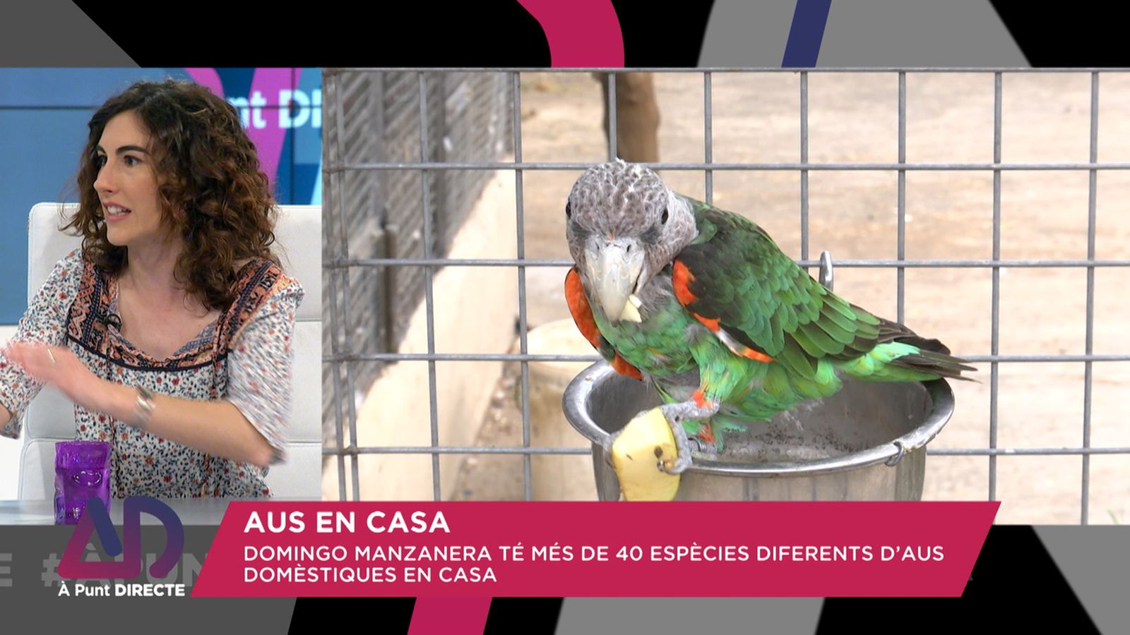 Aus en casa