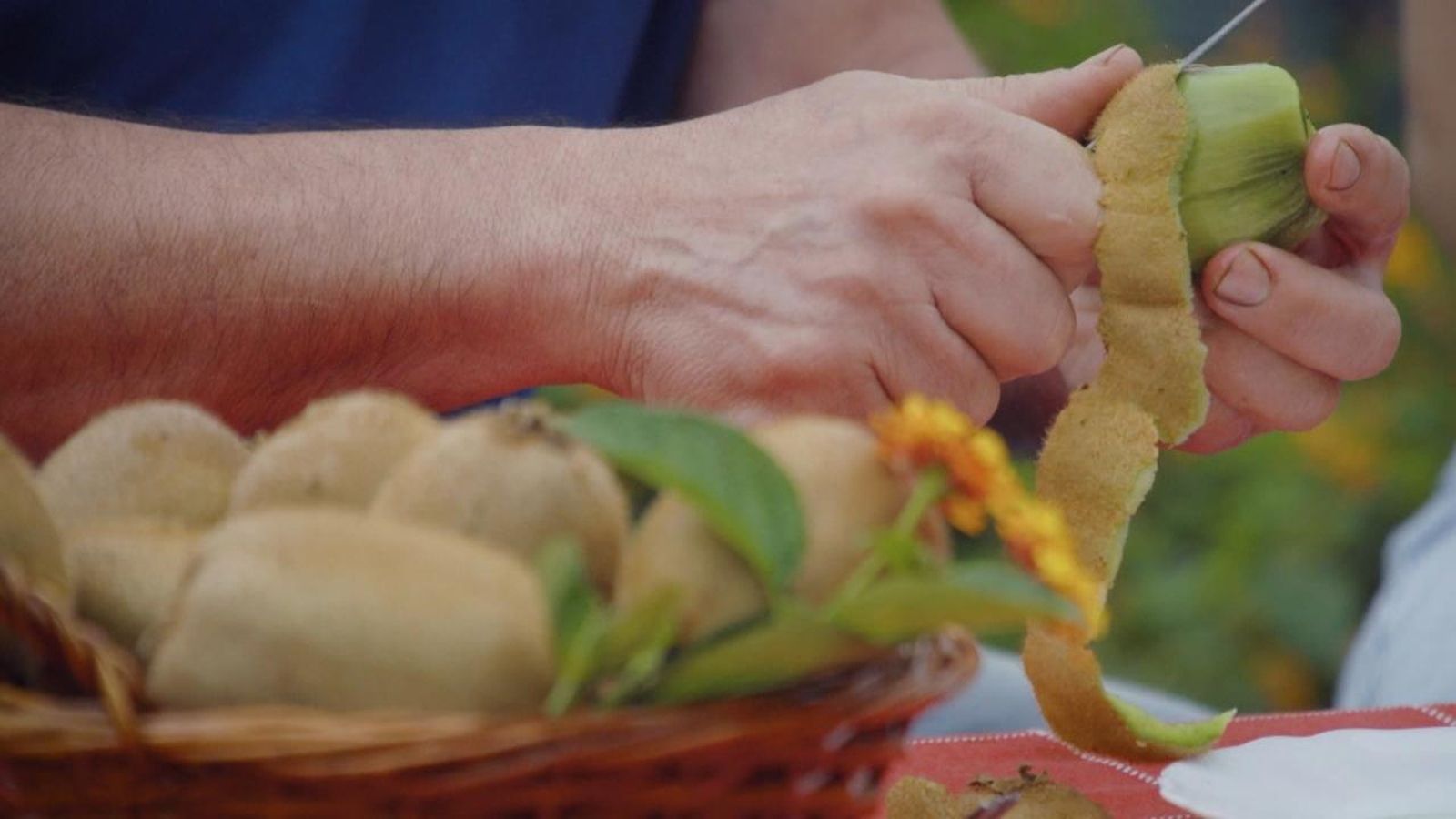 Els kiwis són ideals per a mantindre un bon trànsit intestinal