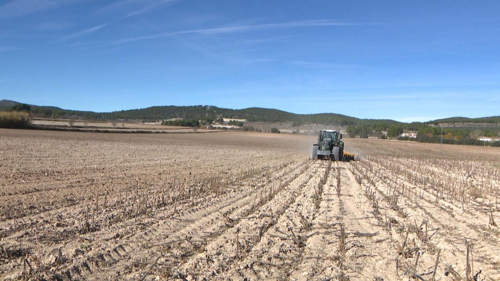 Camp valencià afectat per la sequera en una imatge d'arxiu