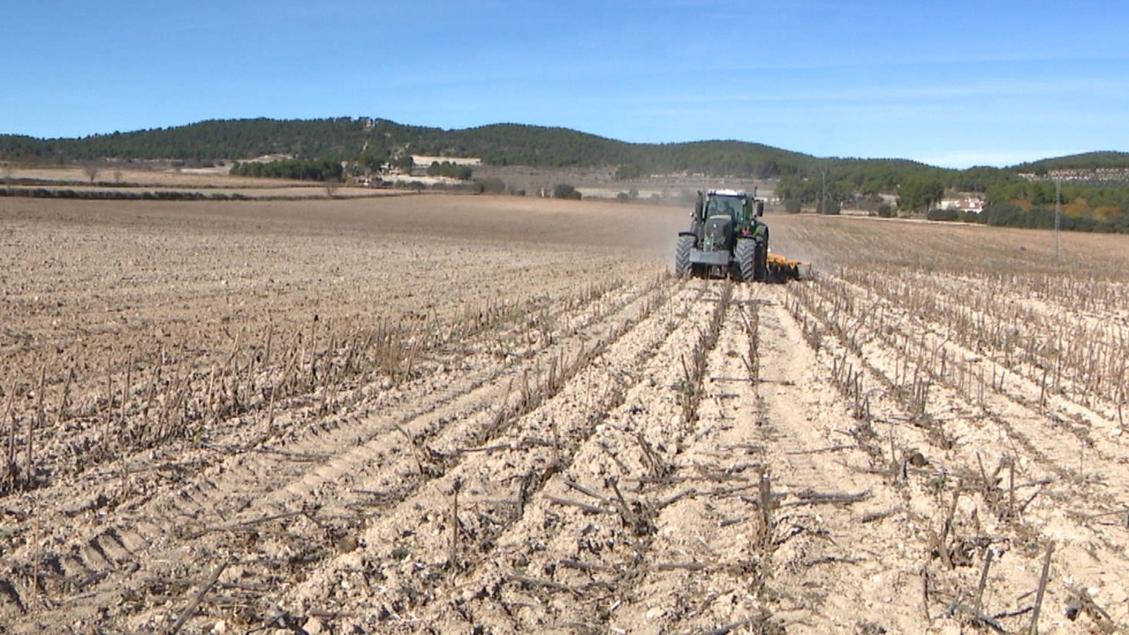 Camp valencià afectat per la sequera en una imatge d'arxiu