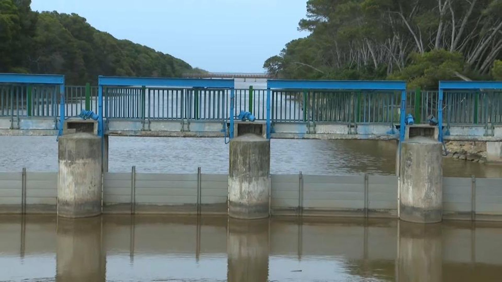 Les comportes de l'Albufera de València s'obrin per desaiguar l'aigua marró
