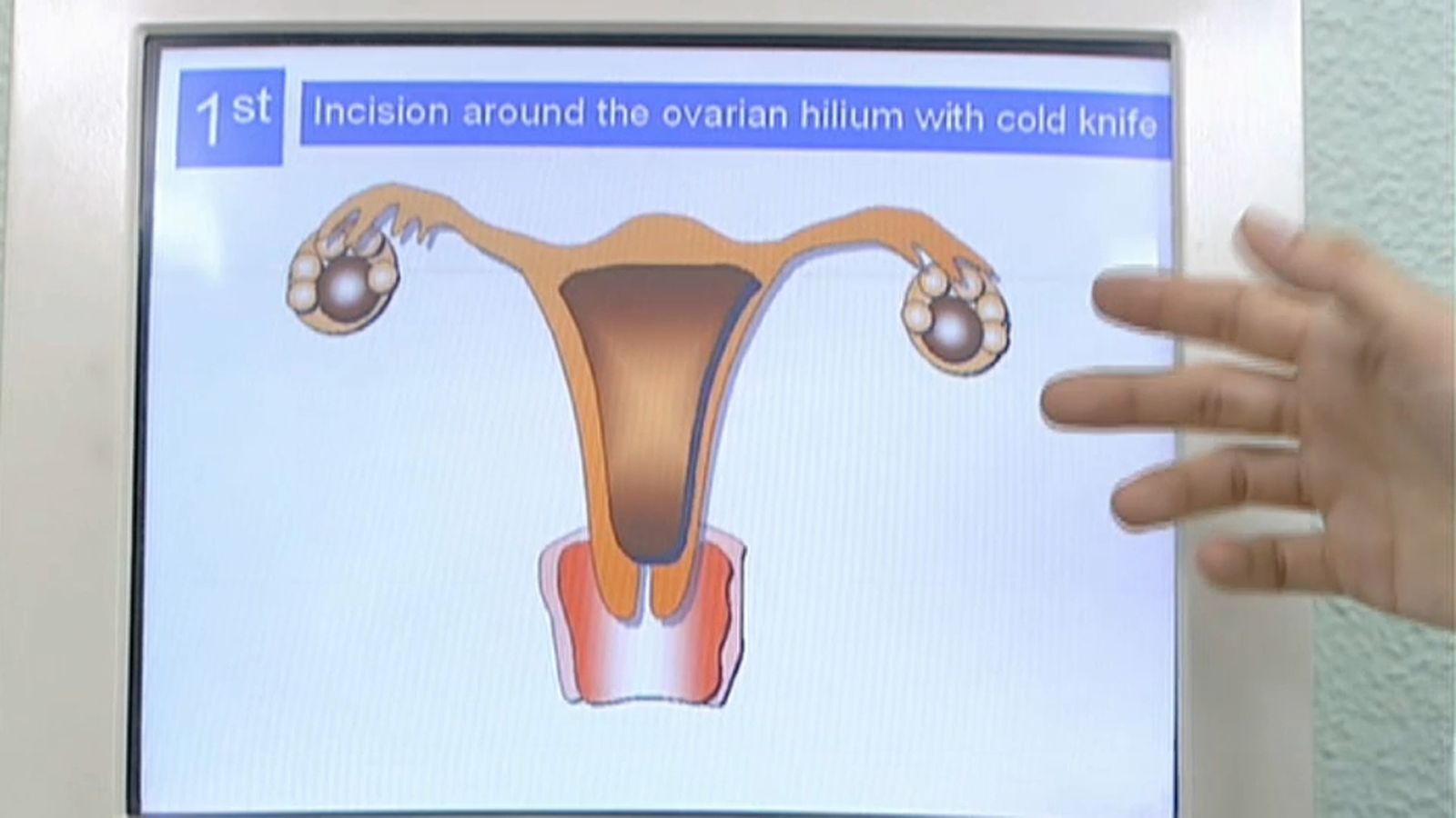 Entrevista a Ana Santaballa