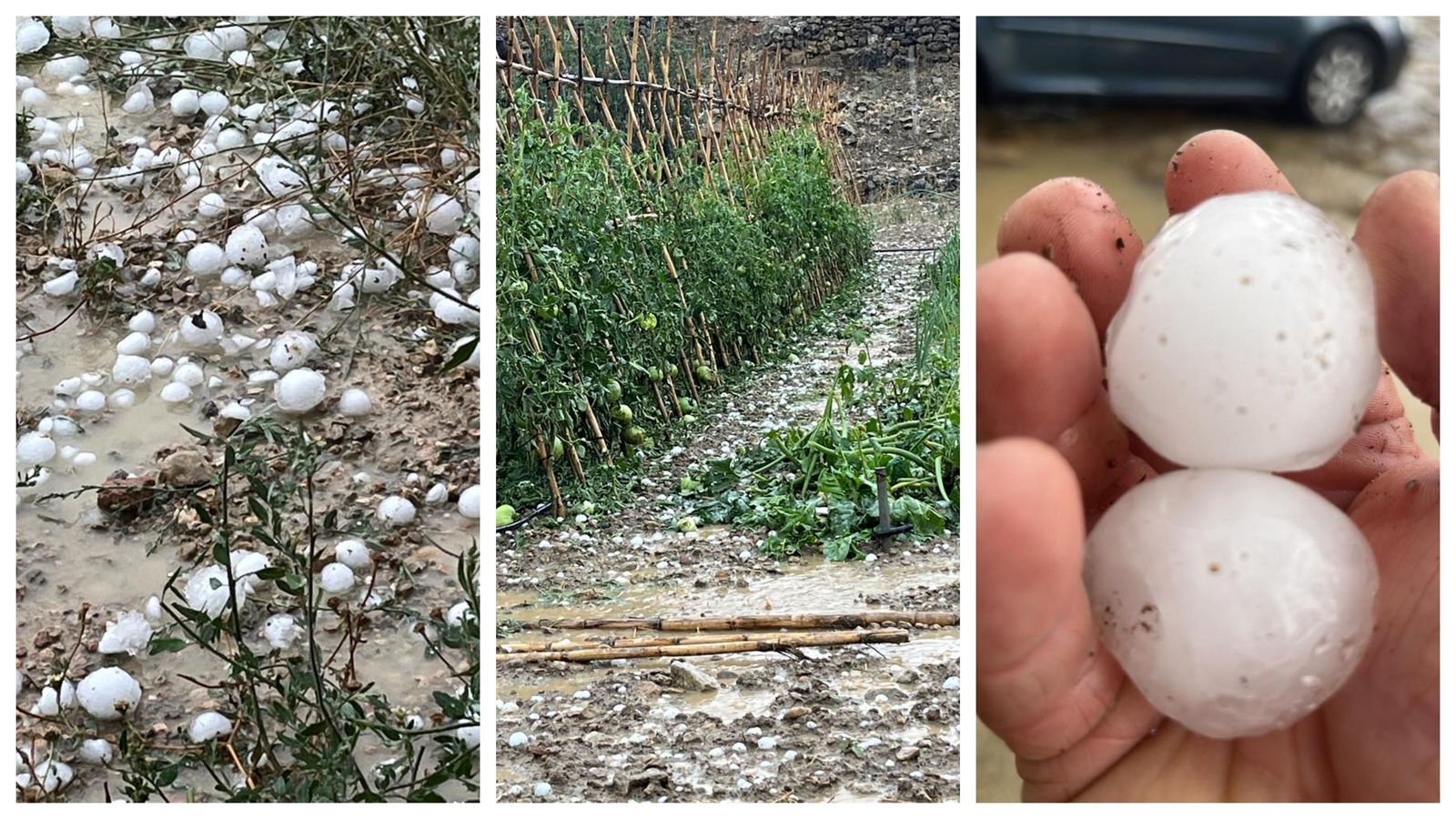 Imatges dels efectes de les tempestes