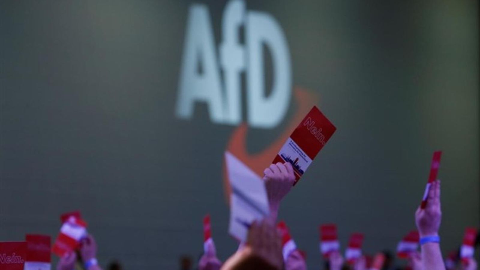Militants d'Alternativa per Alemanya Militants d'Alternativa per Alemanya