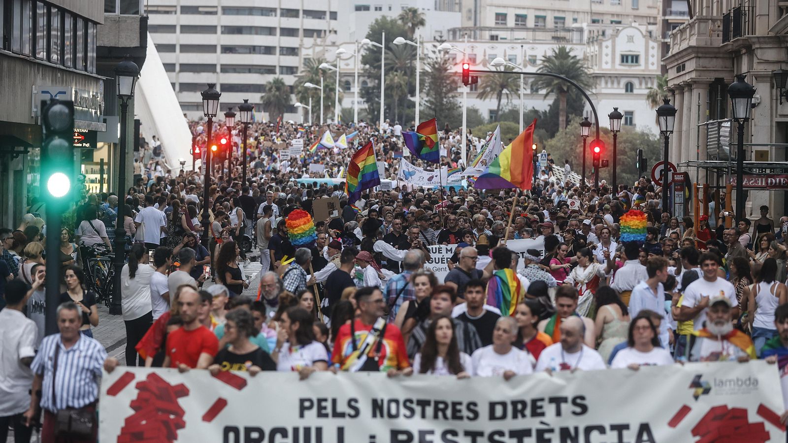 Manifestació de l'orgull a València
