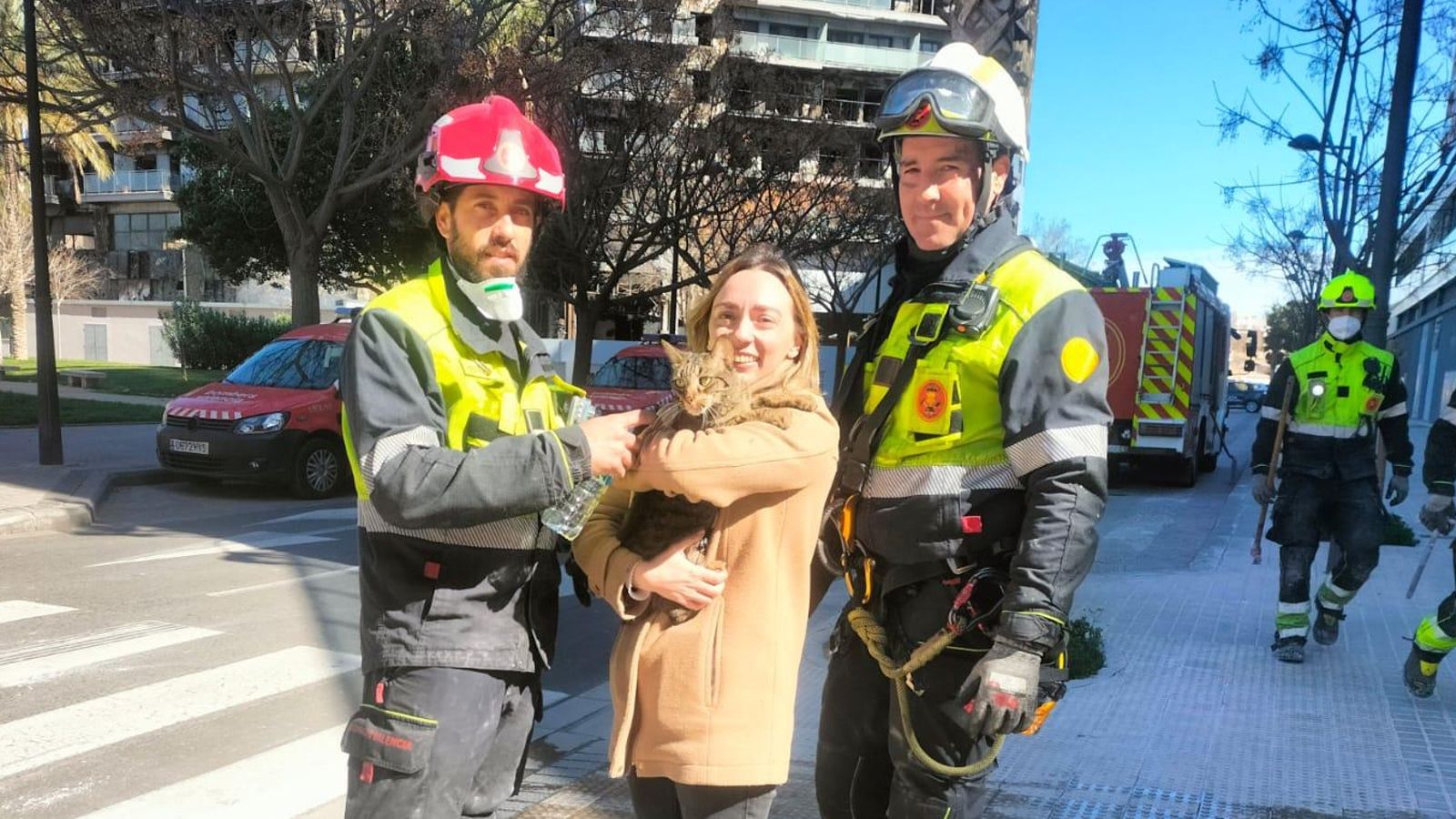 Coco, el gat rescatat a l'edifici de Campanar, una setmana després de l'incendi