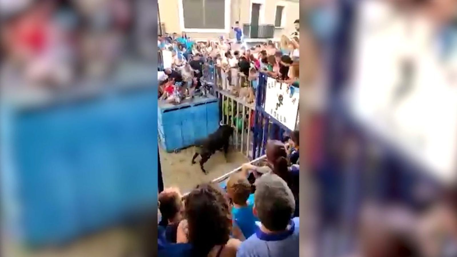 Un home resulta ferit per l’enganxada d’un bou al Grau de Castelló