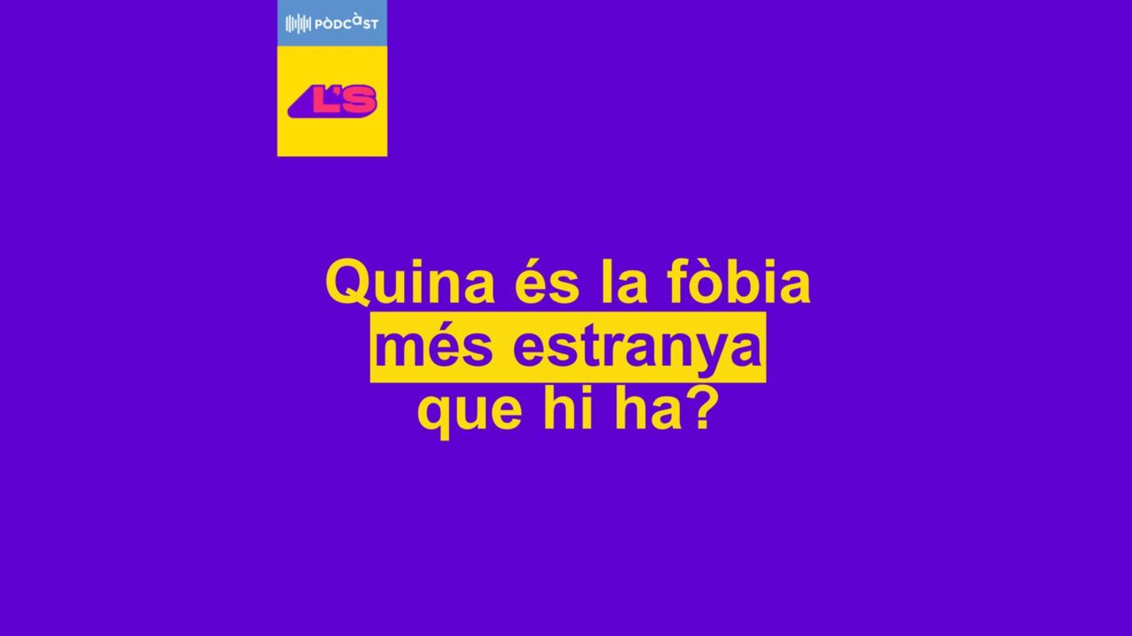 06.11.2024 | 5- Quina és la fòbia més estranya que hi ha?