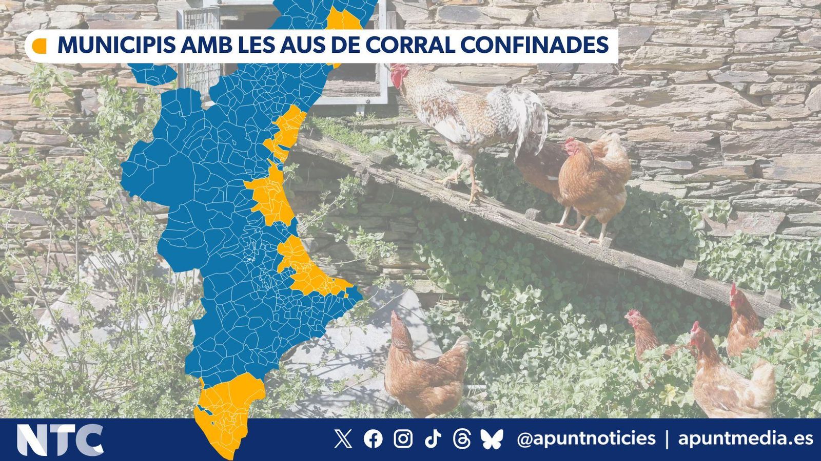 Municipis amb les aus de corral confinades
