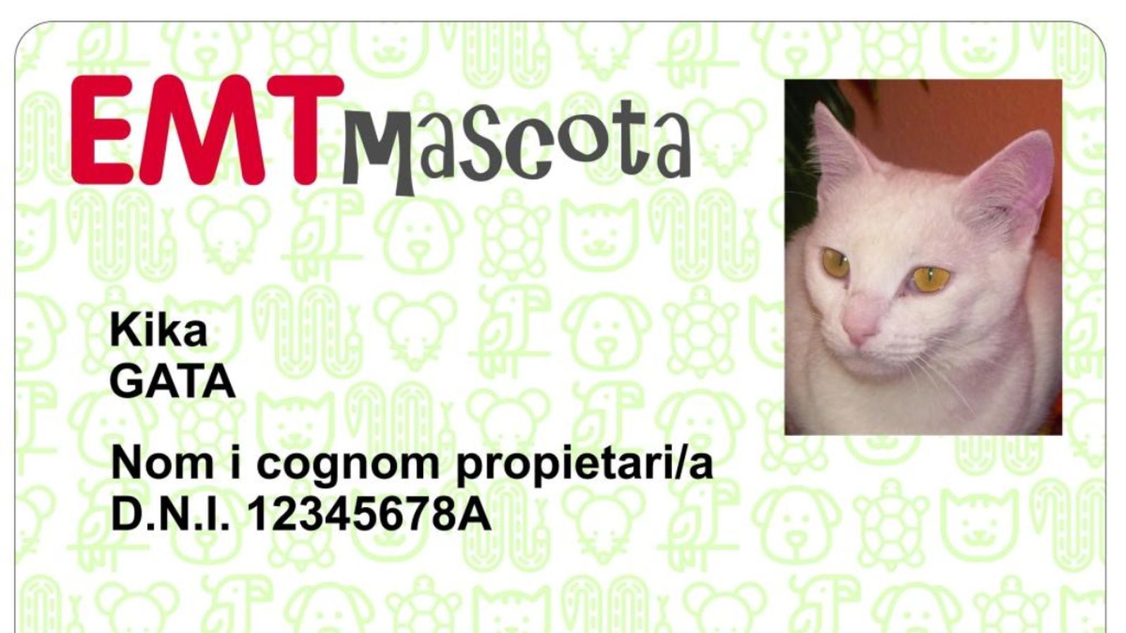 Les mascotes podran viatjar en els autobusos de l\'EMT de València amb el seu propi carnet