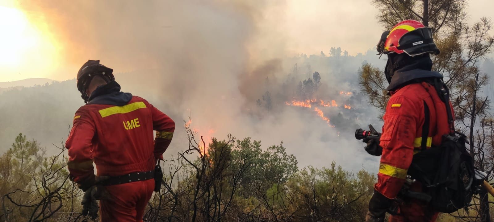 Imatge de l'incendi forestal declarat a Vilanova de Viver