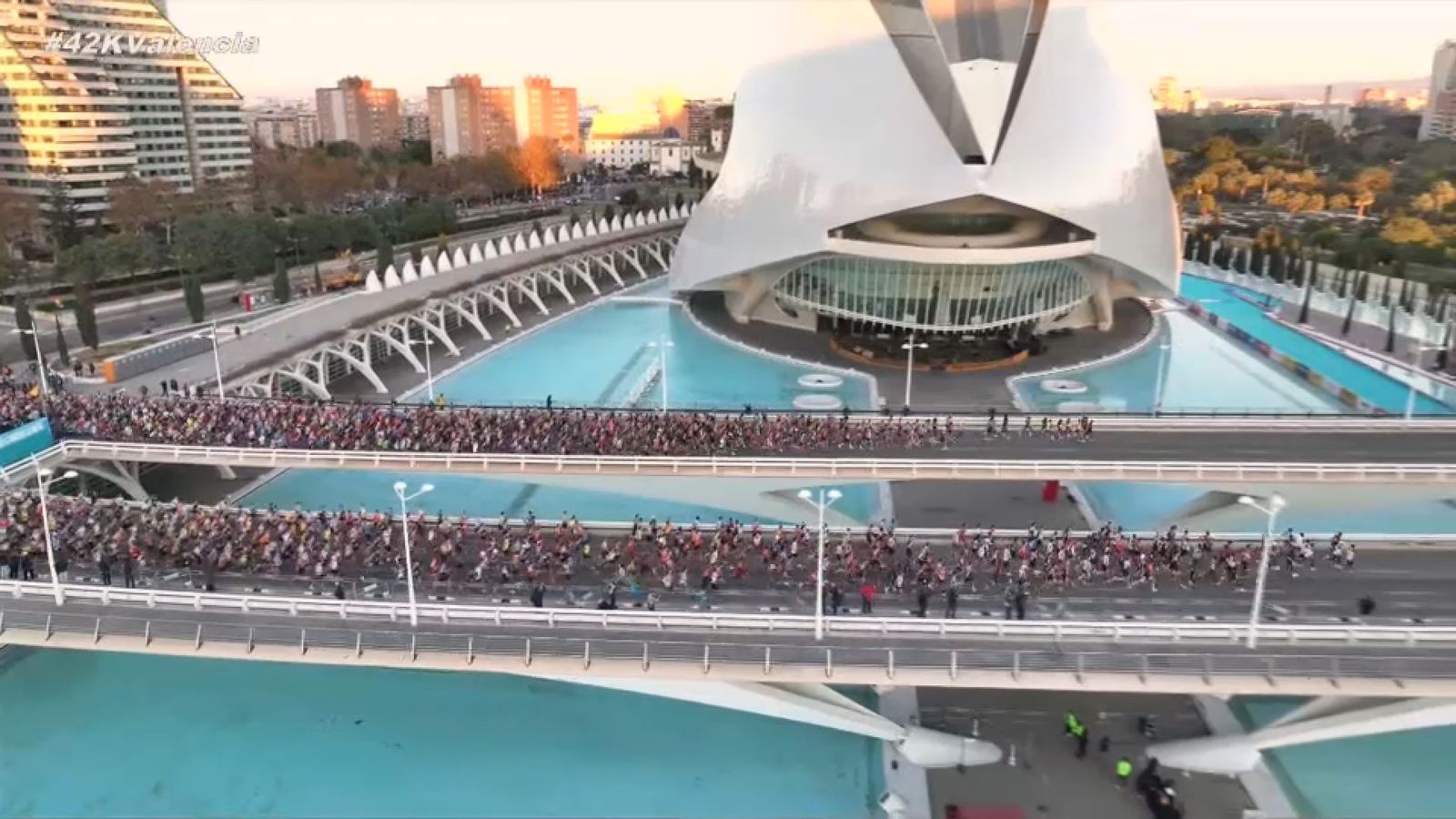 Zoom | La marató