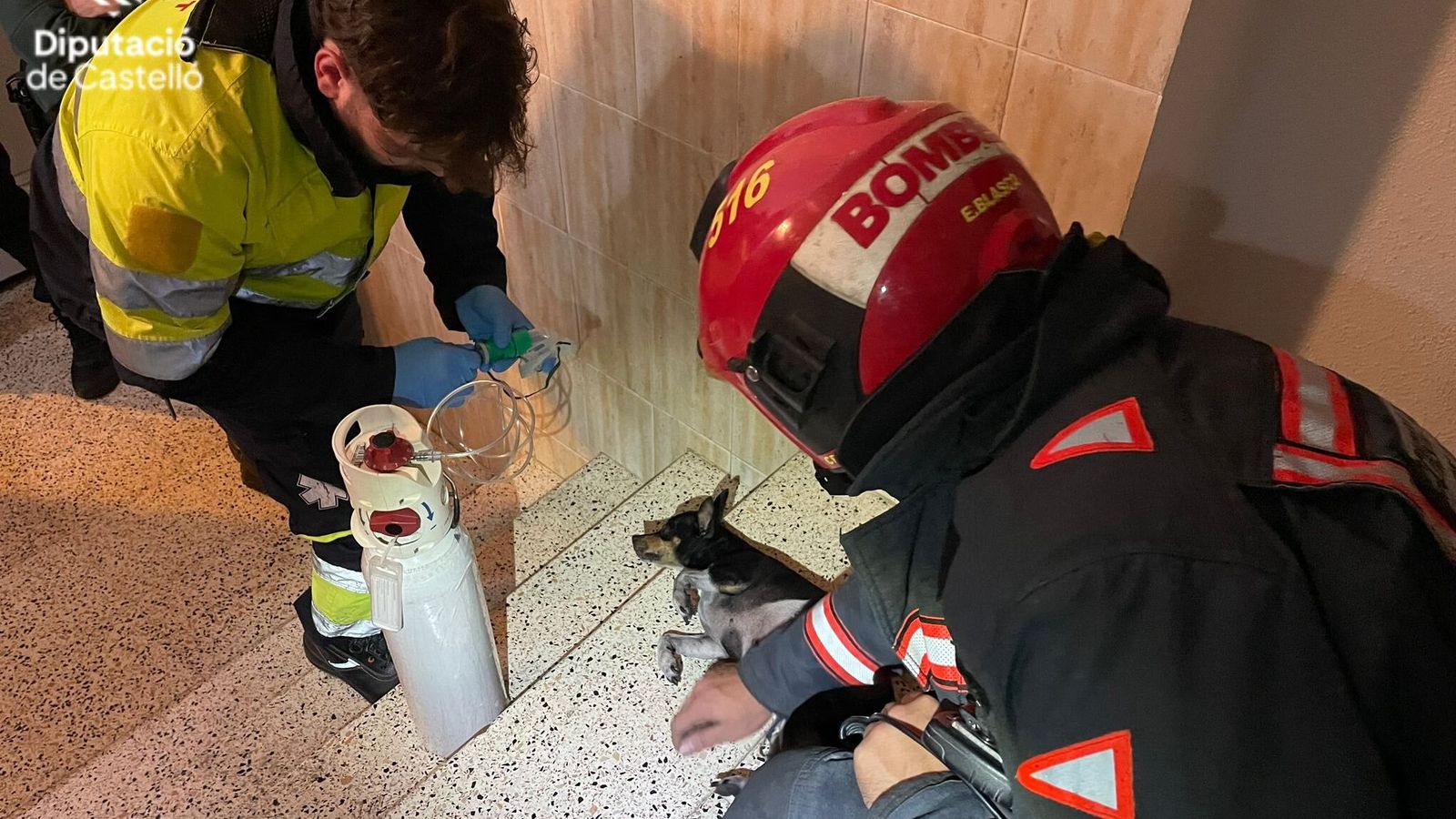 Els bombers atenen el gos que han rescatat amb vida de la vivenda que s'ha incendiat a Onda