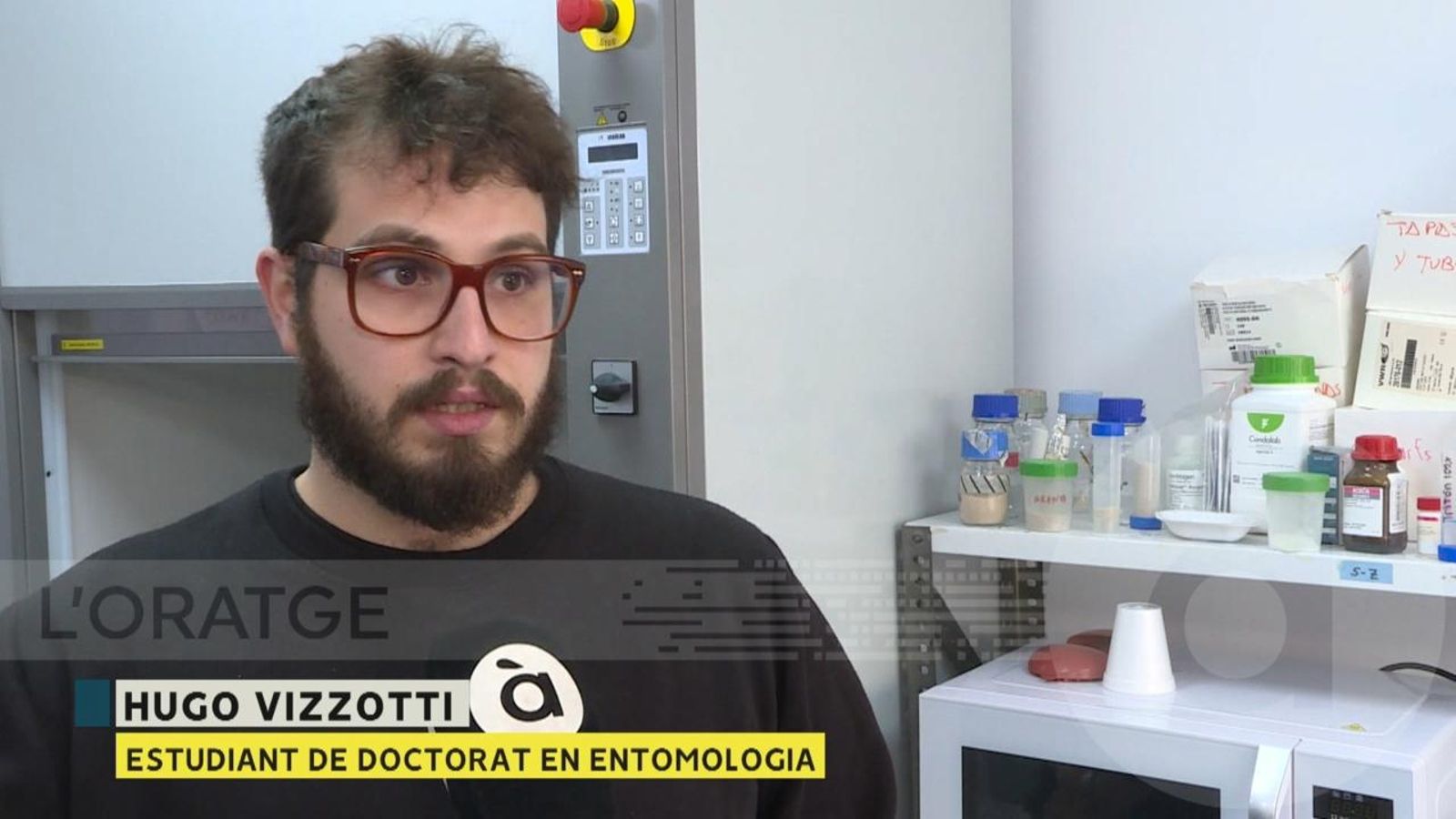 Descobriment d’un repel·lent per al morrut negre, l’enemic dels plataners