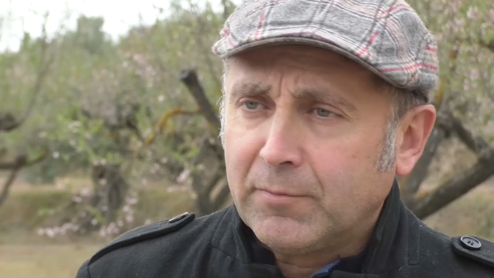 Enrique Moltó, doctor en Geografia i professor de la Universitat d'Alacant