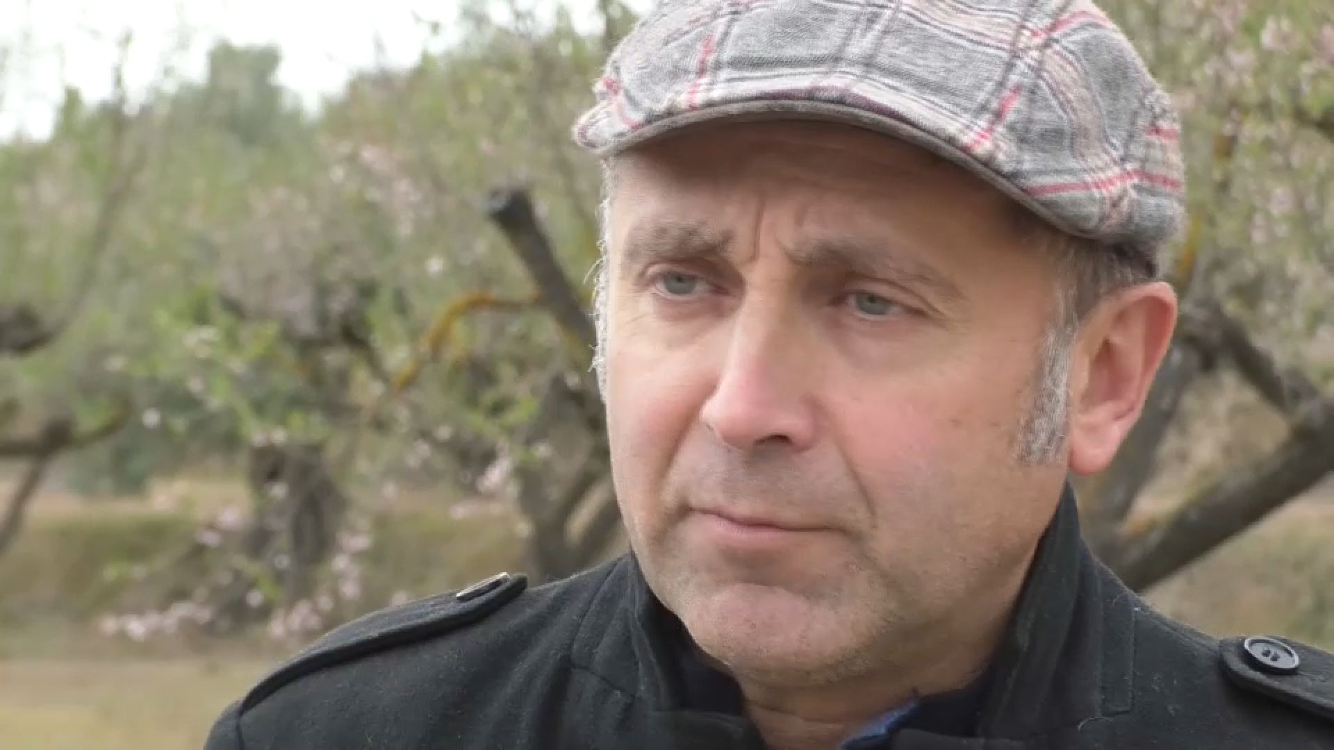 Enrique Moltó, doctor en Geografia i professor de la Universitat d'Alacant