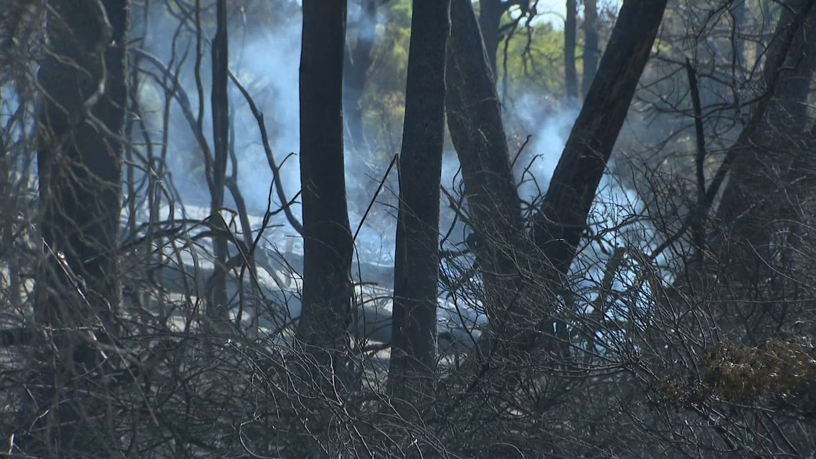 Actualitat de l'incendi del Saler