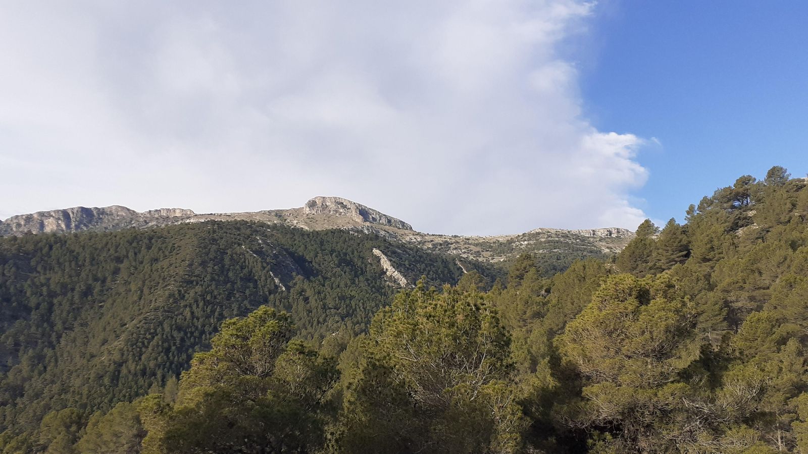 EL MONTCABRER