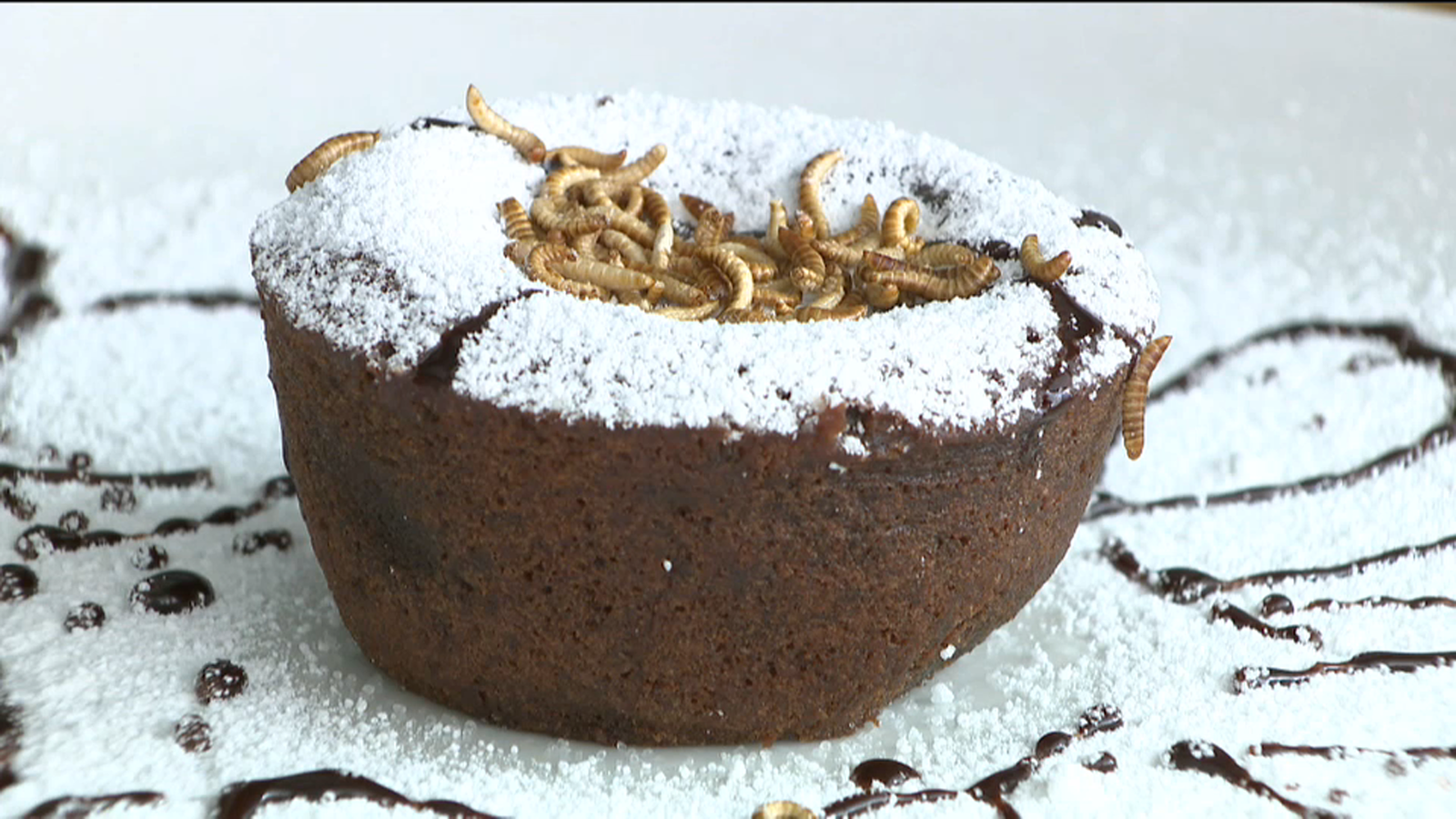 VÍDEO | Els insectes, presents en cartes de restaurants valencians