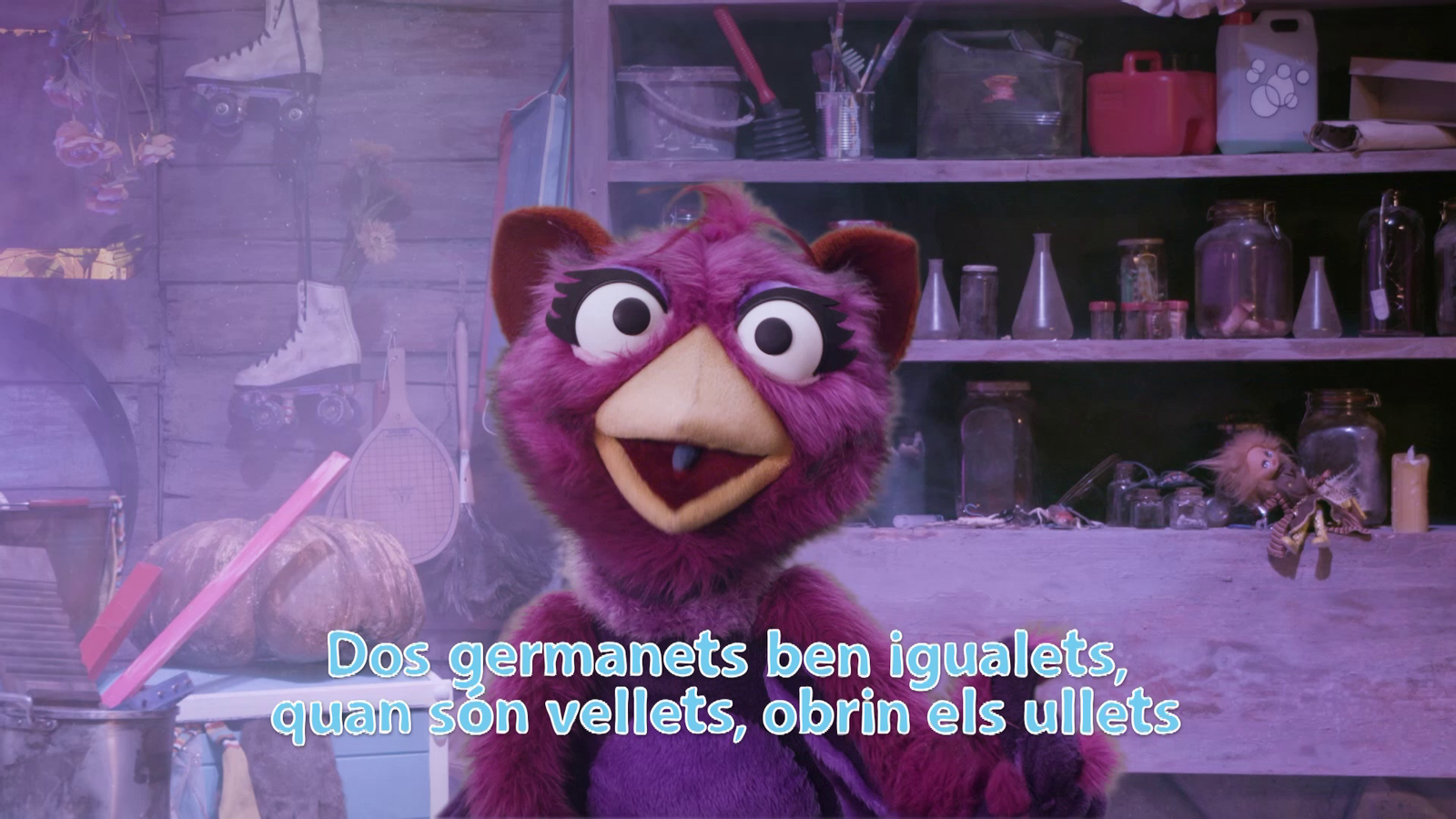 La Colla Endevina | Dos germanets ben igualets