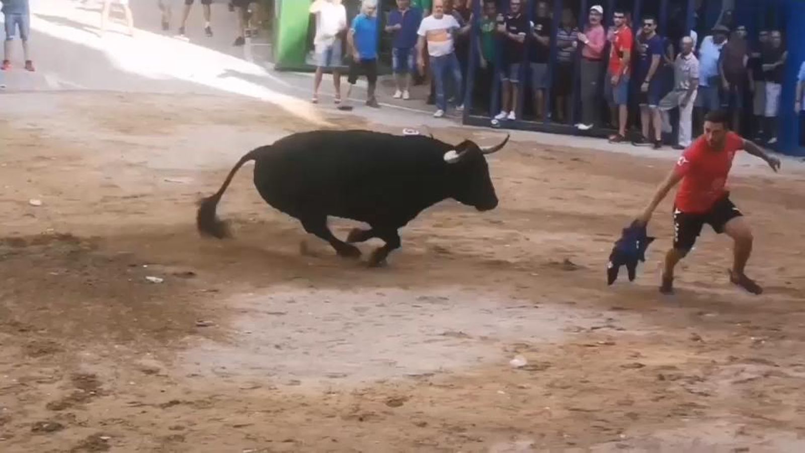 L'Alcora és un dels municipis que tornarà a festejar els bous al carrer