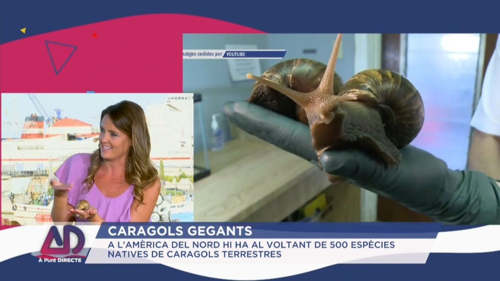 Caragols gegants