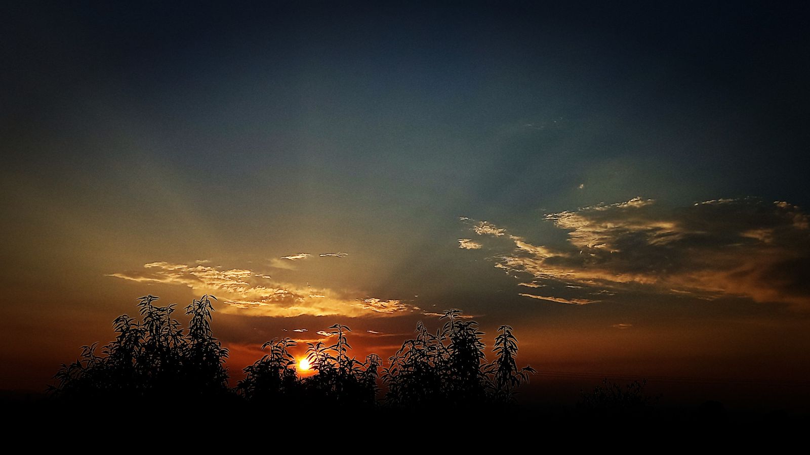 1.ALMASSORA, LA PLANA ALTA